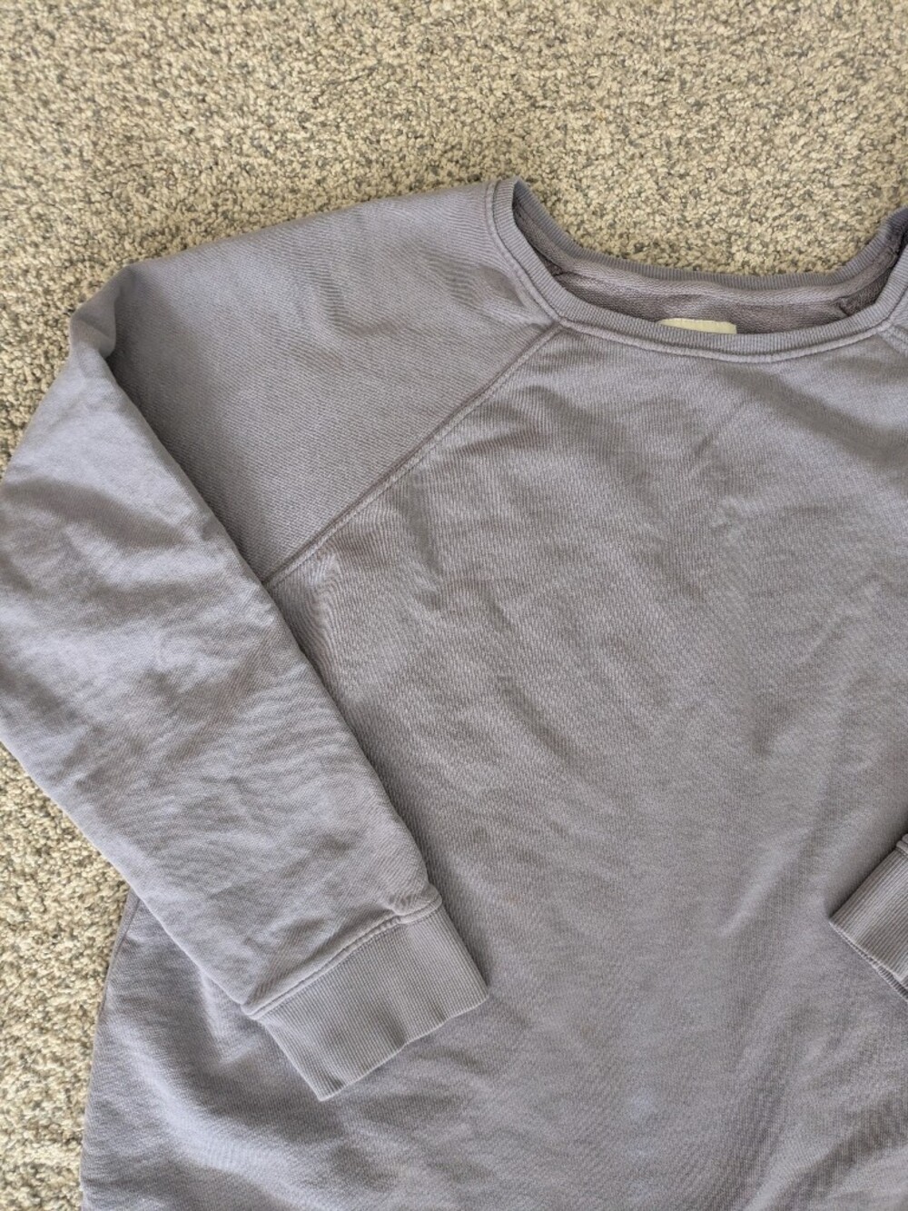 Pact Raglan Relaxed Sweatshirt - Picture 2 of 6